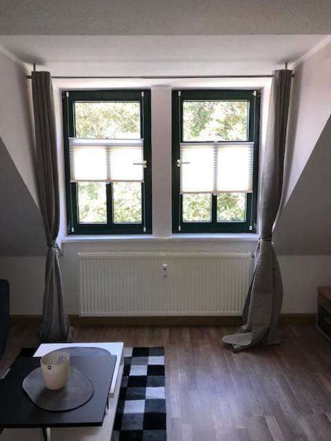 Weißenfels Gaestewohnung Saaleblick מראה חיצוני תמונה